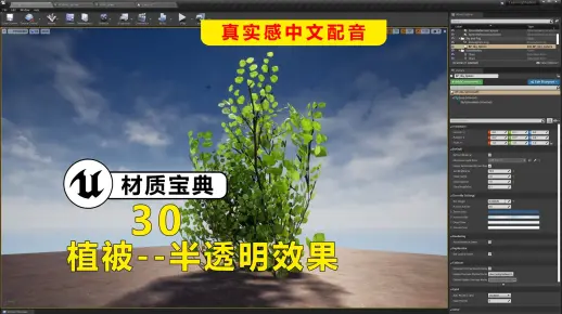 【UE】30植被-半透明效果